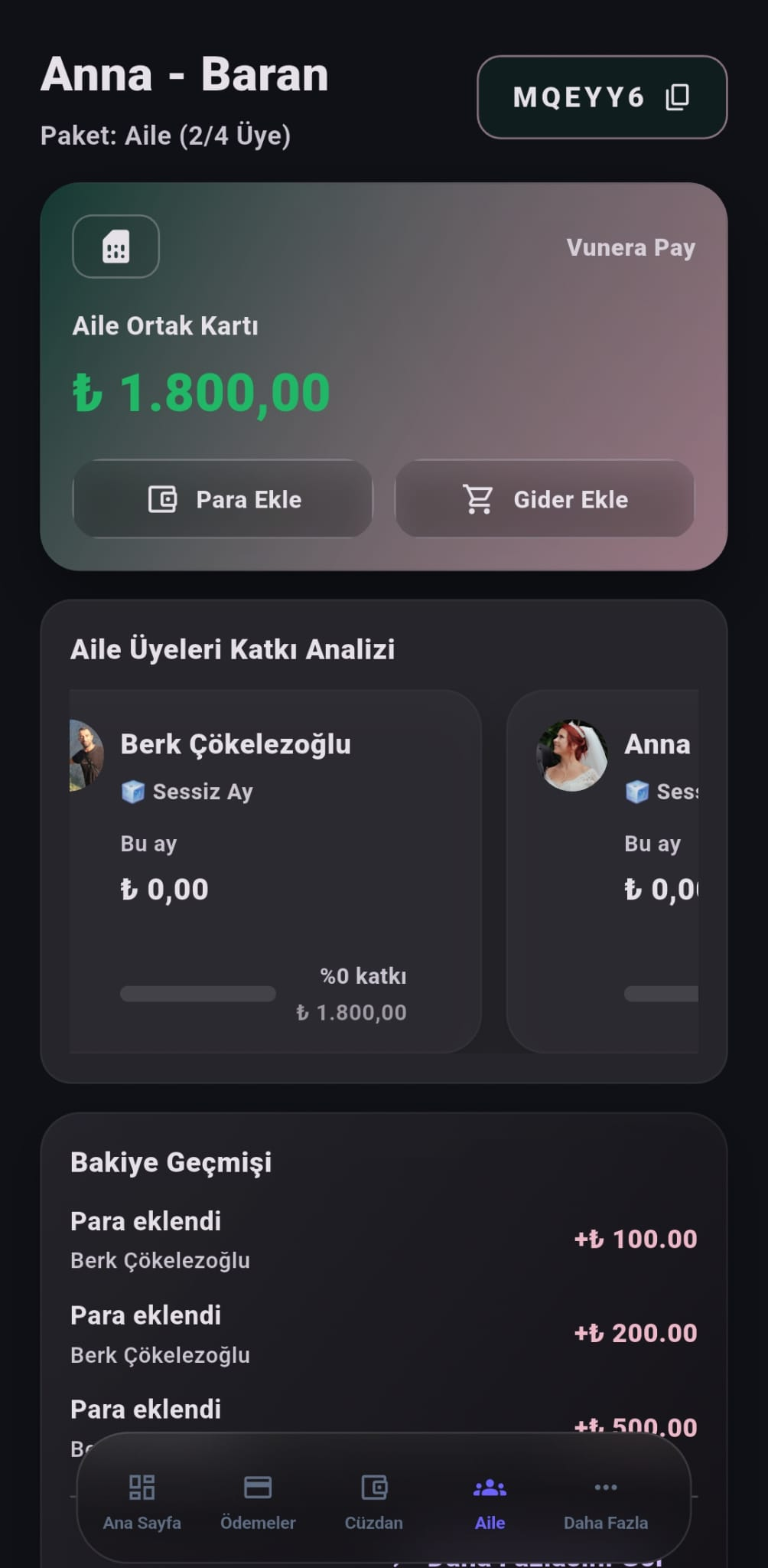 Vunera Connect Family finances screen