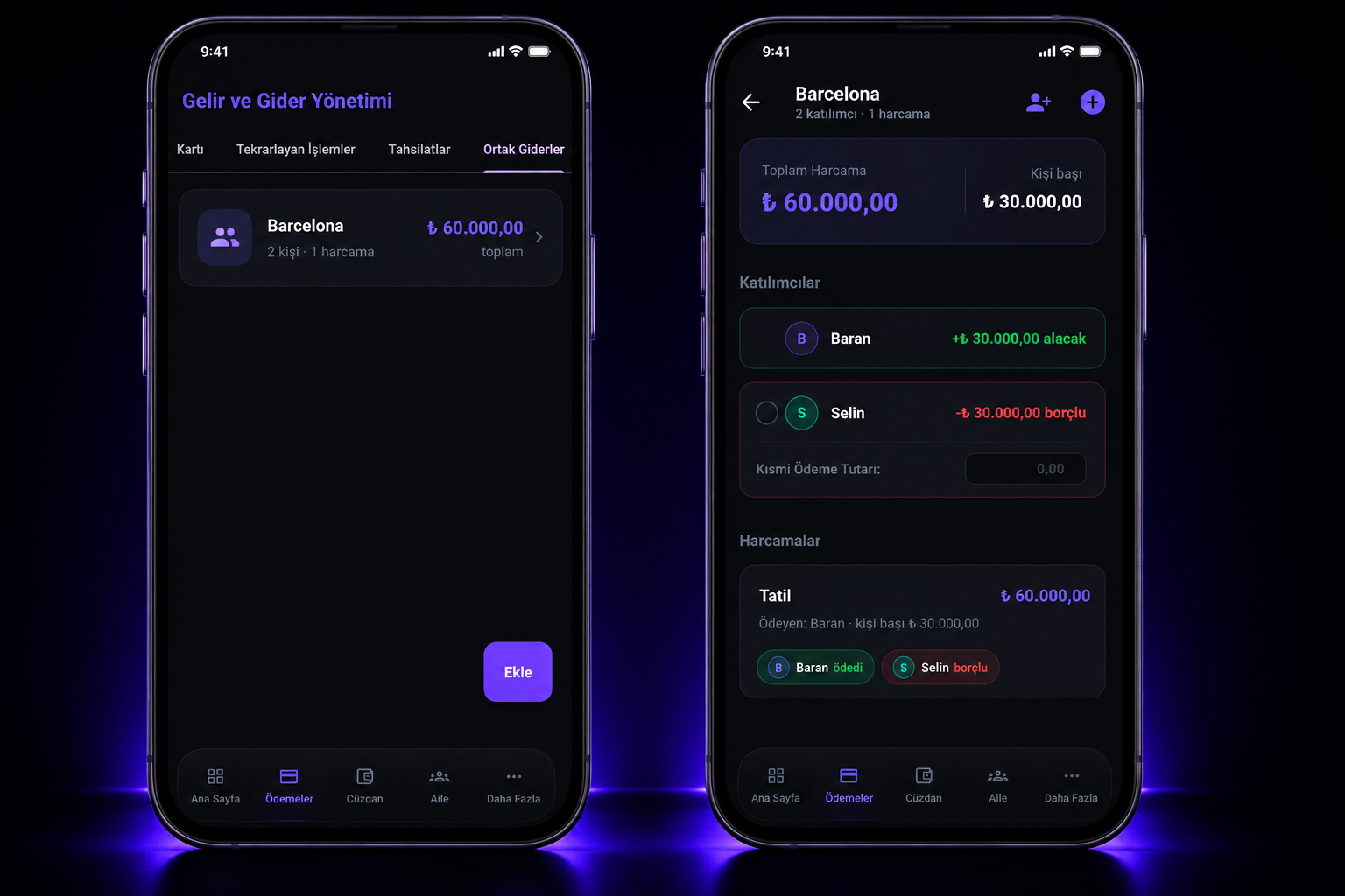 Vunera shared expenses management preview